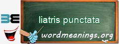 WordMeaning blackboard for liatris punctata